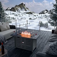 GAS FIREPLACE TG WIDE 110H75