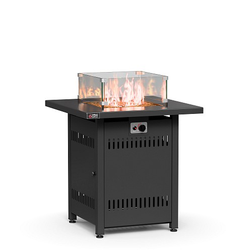 GAS FIREPLACE TG TABLE 72H64