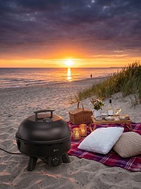 LPG BBQ TGC 01L 4kW